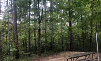 Camping near Gobbler's Run Campground — Lincoln State Park: Saddle Lake Recreation Area, Leopold, Indiana