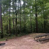 Review photo of Saddle Lake Campground — Hoosier National Forest by Dani C., September 27, 2020