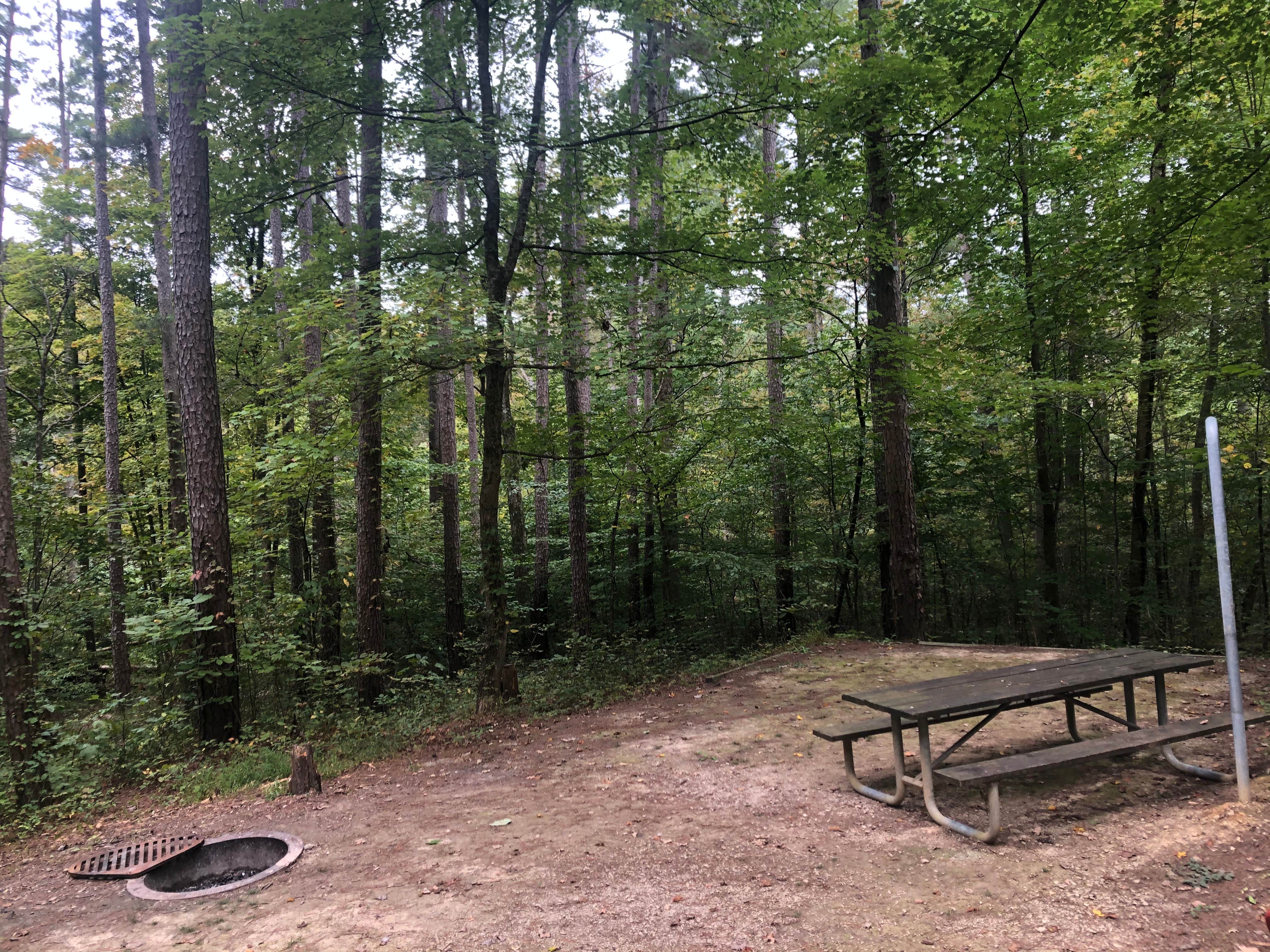 Camper submitted image from Saddle Lake Campground — Hoosier National Forest - 1