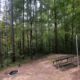 Saddle Lake Campground — Hoosier National Forest