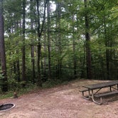 Review photo of Saddle Lake Recreation Area by Dani C., September 27, 2020