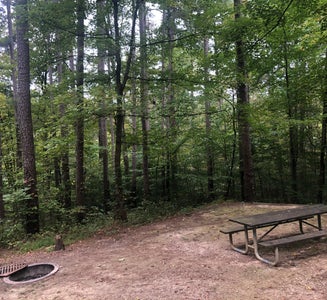 Camper-submitted photo from Saddle Lake Recreation Area