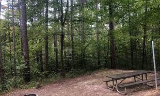 Camping near Vastwood Co Park: Saddle Lake Recreation Area, Leopold, Indiana