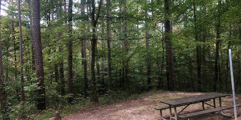Camper submitted image from Saddle Lake Campground — Hoosier National Forest