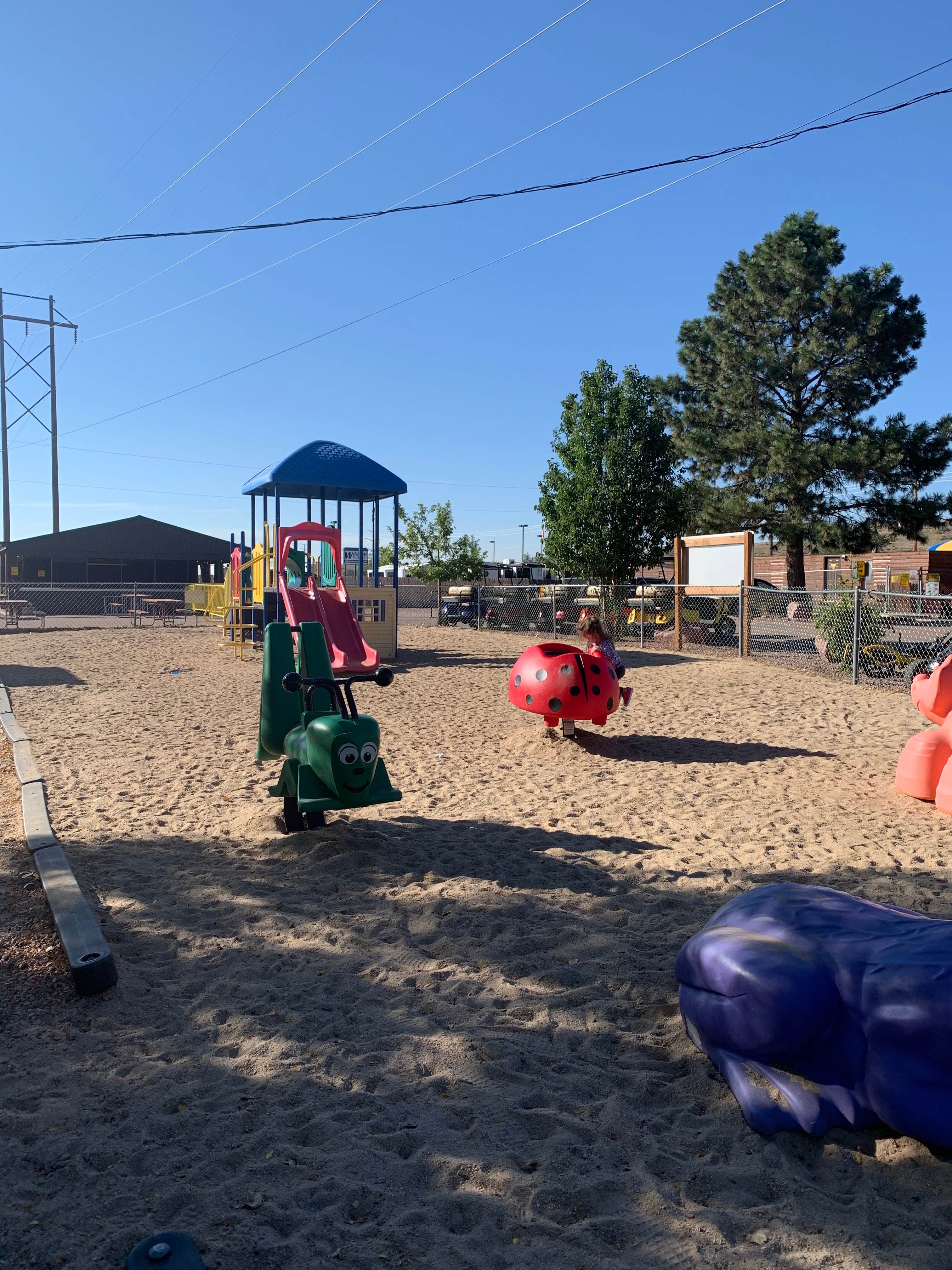 Camper-submitted photo at Colorado Springs KOA near PSICC