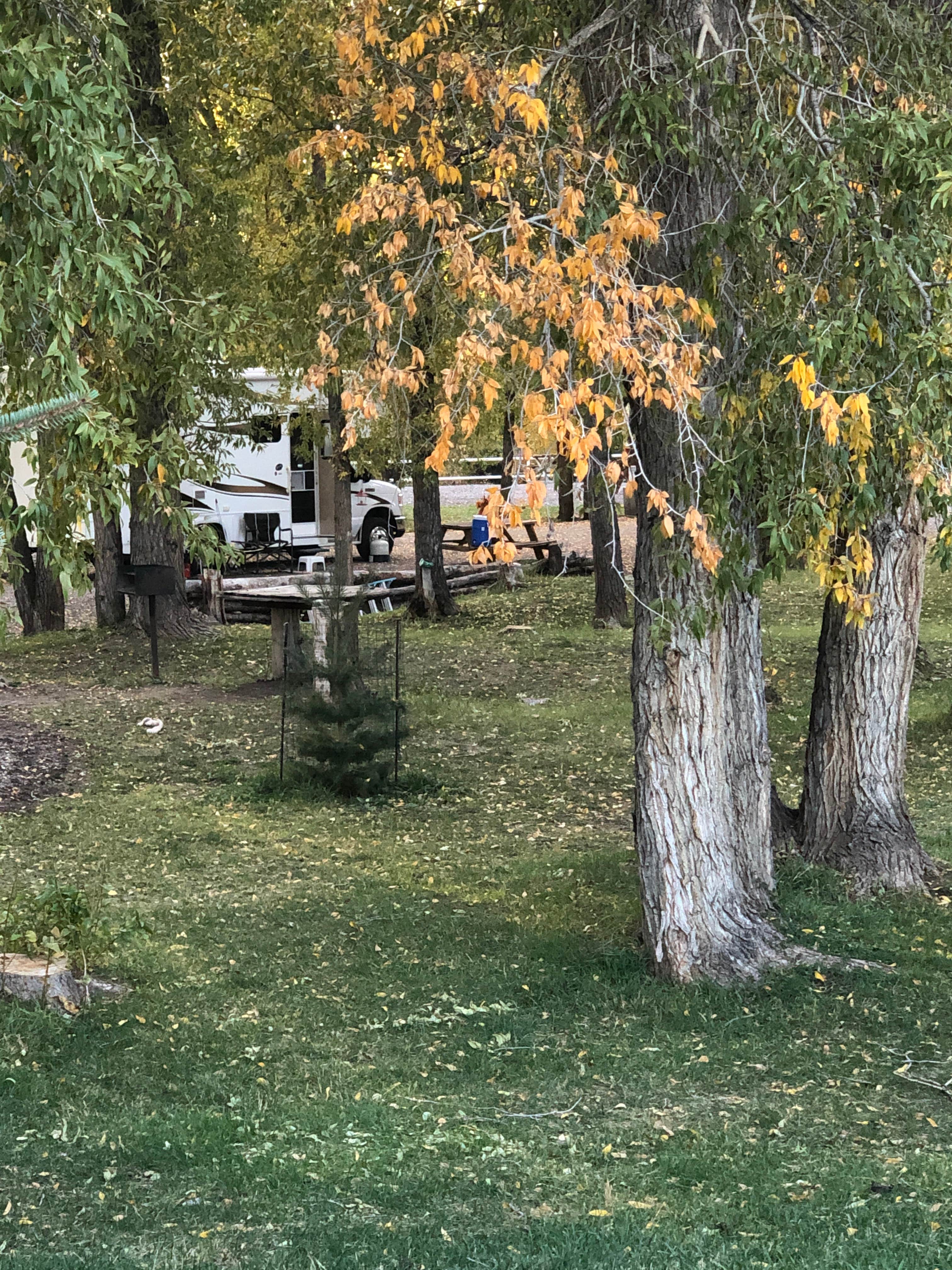 Camper submitted image from Sky Mountain Resort RV Park - 4