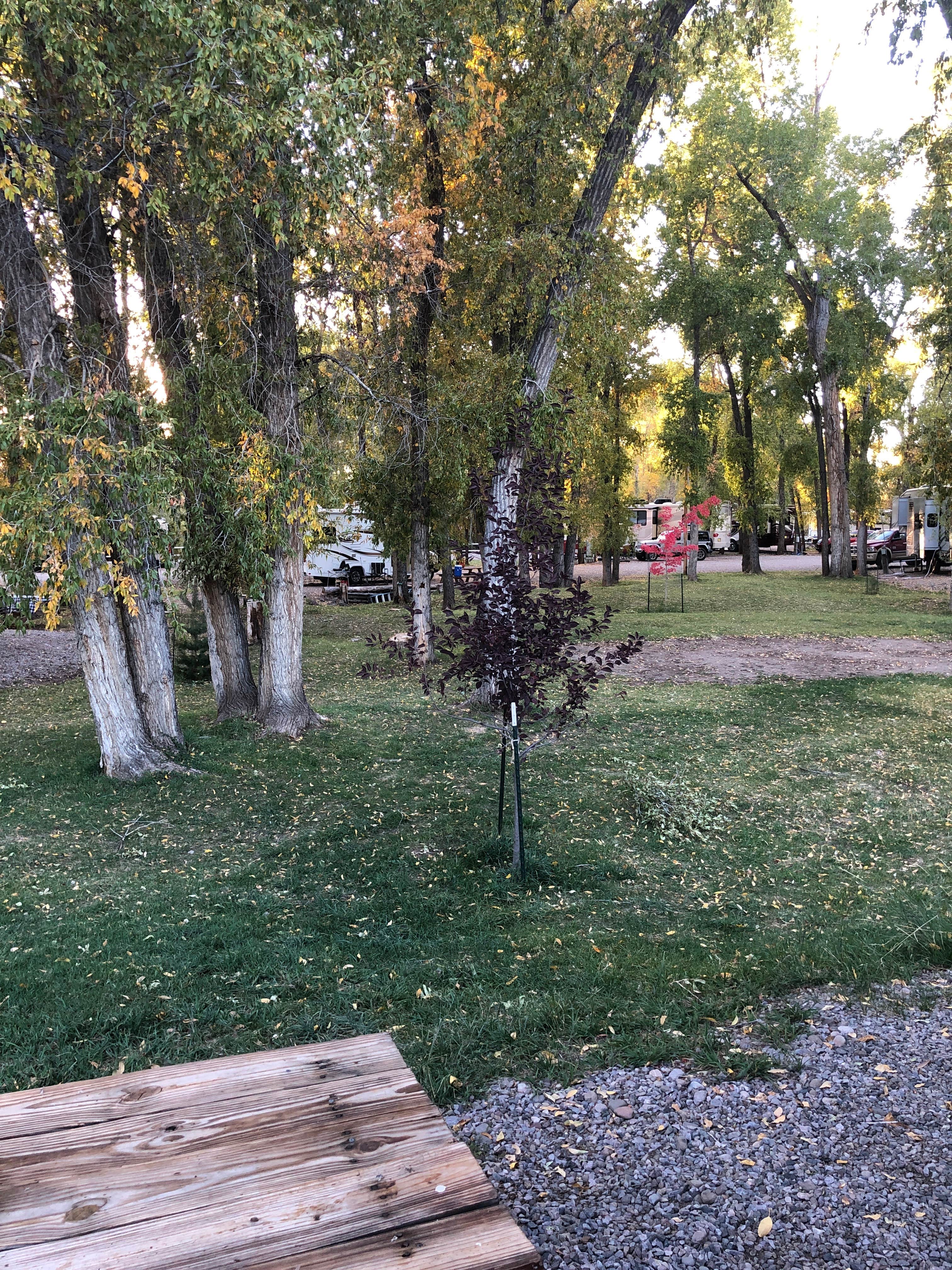 Camper submitted image from Sky Mountain Resort RV Park - 2