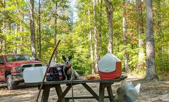 Camping near Camp Buckwood: Yellowwood State Forest, Unionville, Indiana