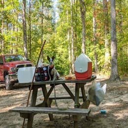 Yellowwood State Forest