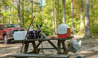 Camping near Cagles Mill Lake: Yellowwood State Forest, Unionville, Indiana