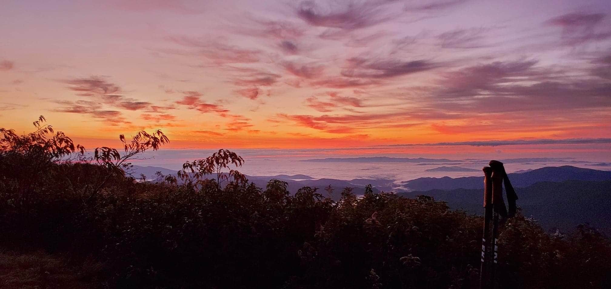 Camper-submitted photo at Maple Camp Bald near Blowing Rock, NC