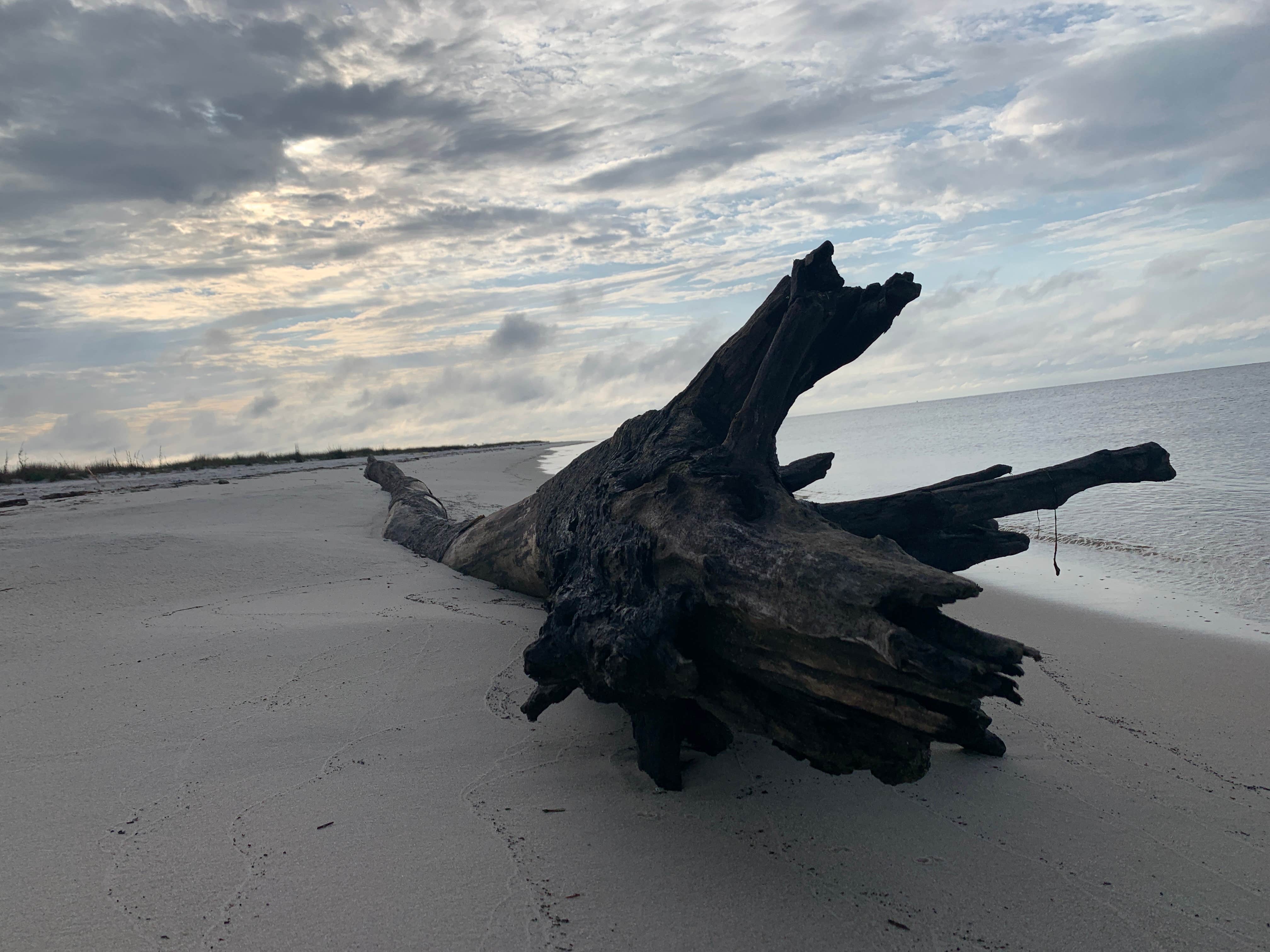 Camper-submitted photo at Deer Island Dispersed Camping near Ocean Springs, MS