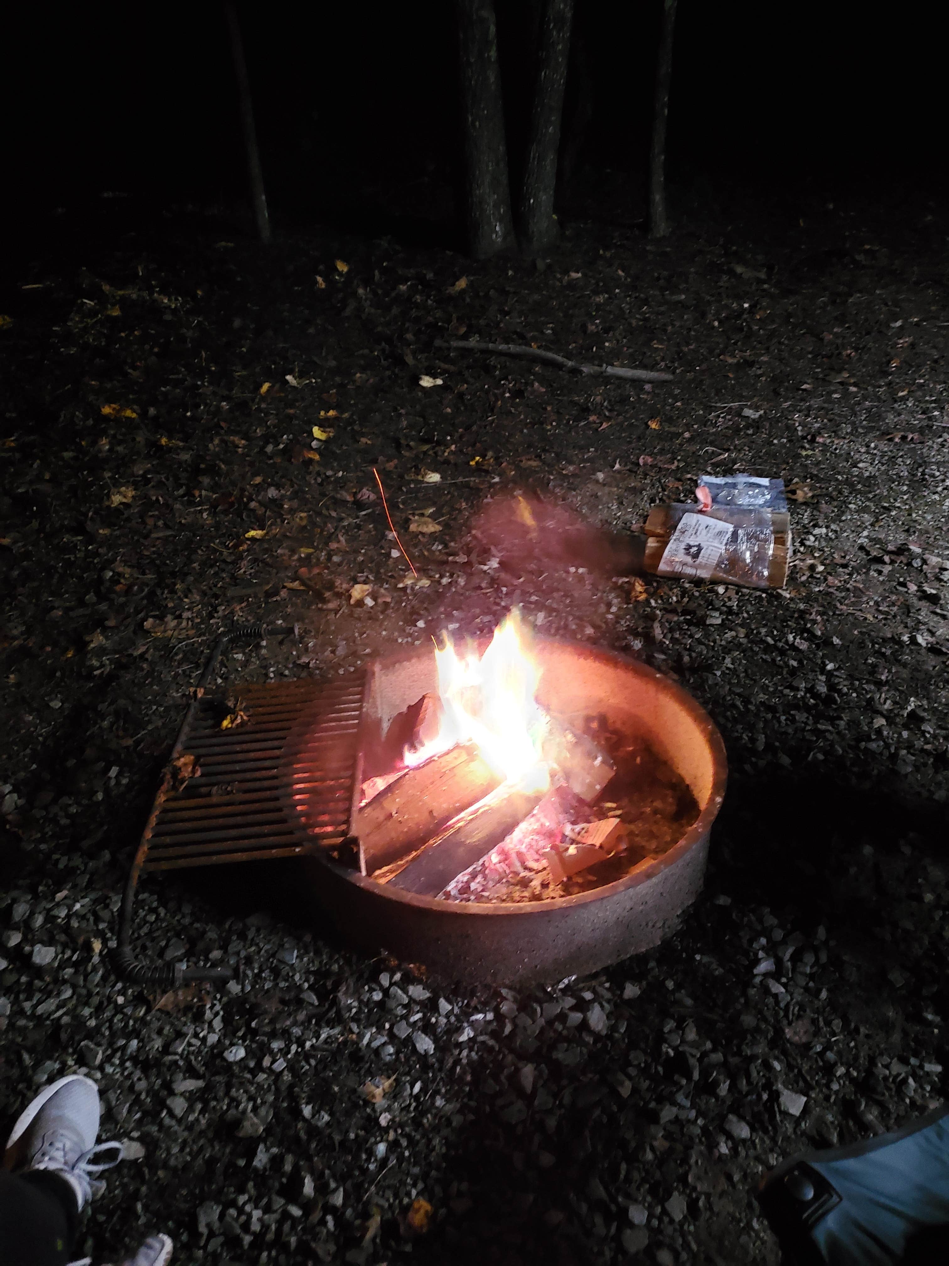 Camper-submitted photo at Mayo Lake Park near Rougemont, NC