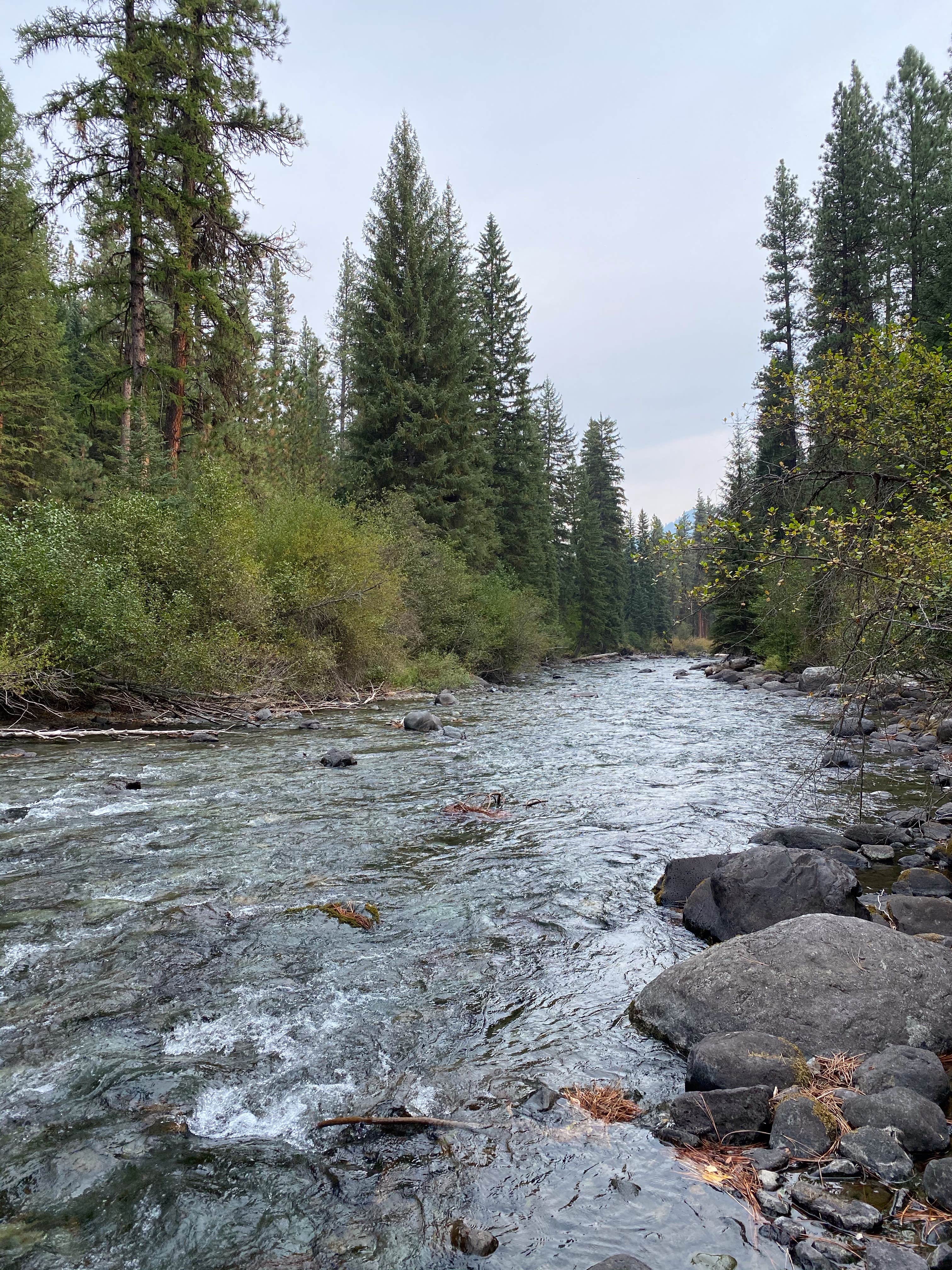 Camper submitted image from Ollokot Campground - 3