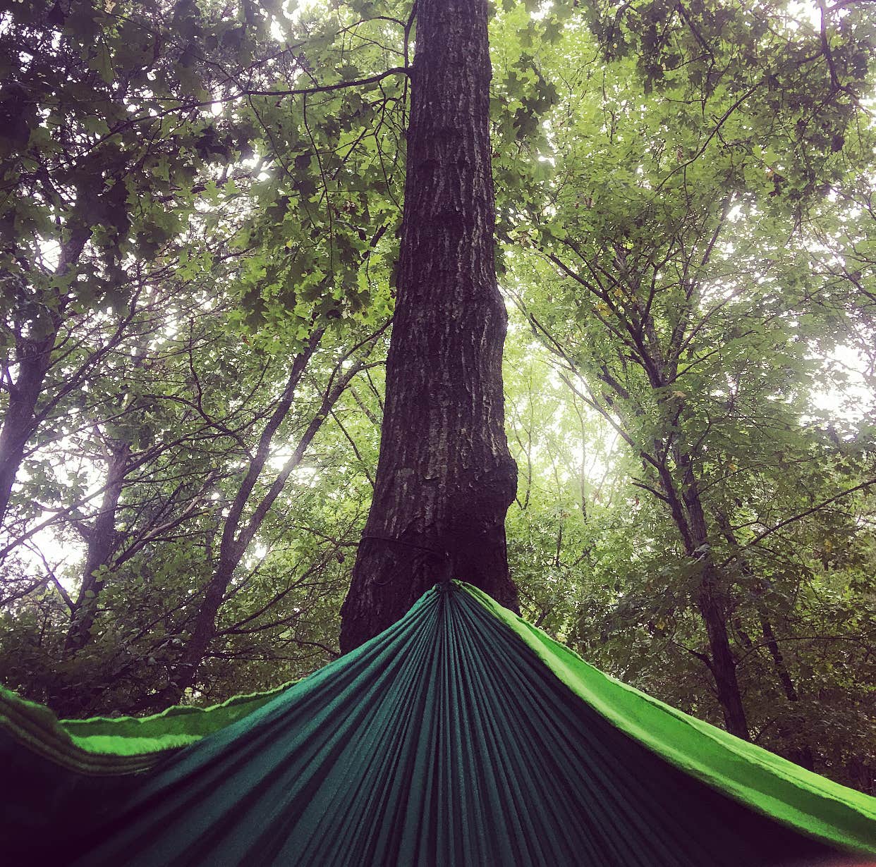 Camper submitted image from Blue River Campground - 4