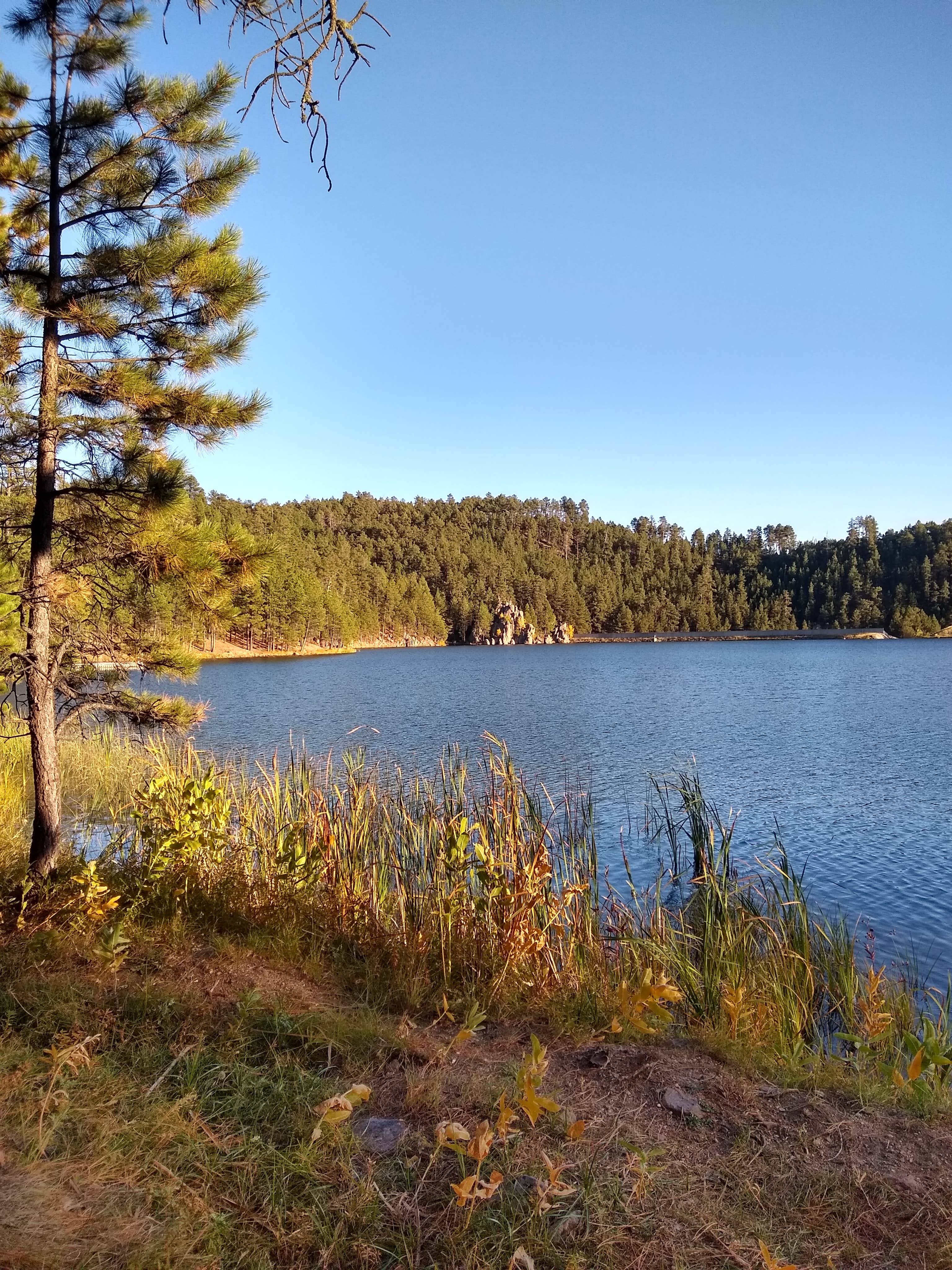 Camper-submitted photo at Center Lake Campground — Custer State Park near Hot Springs, SD