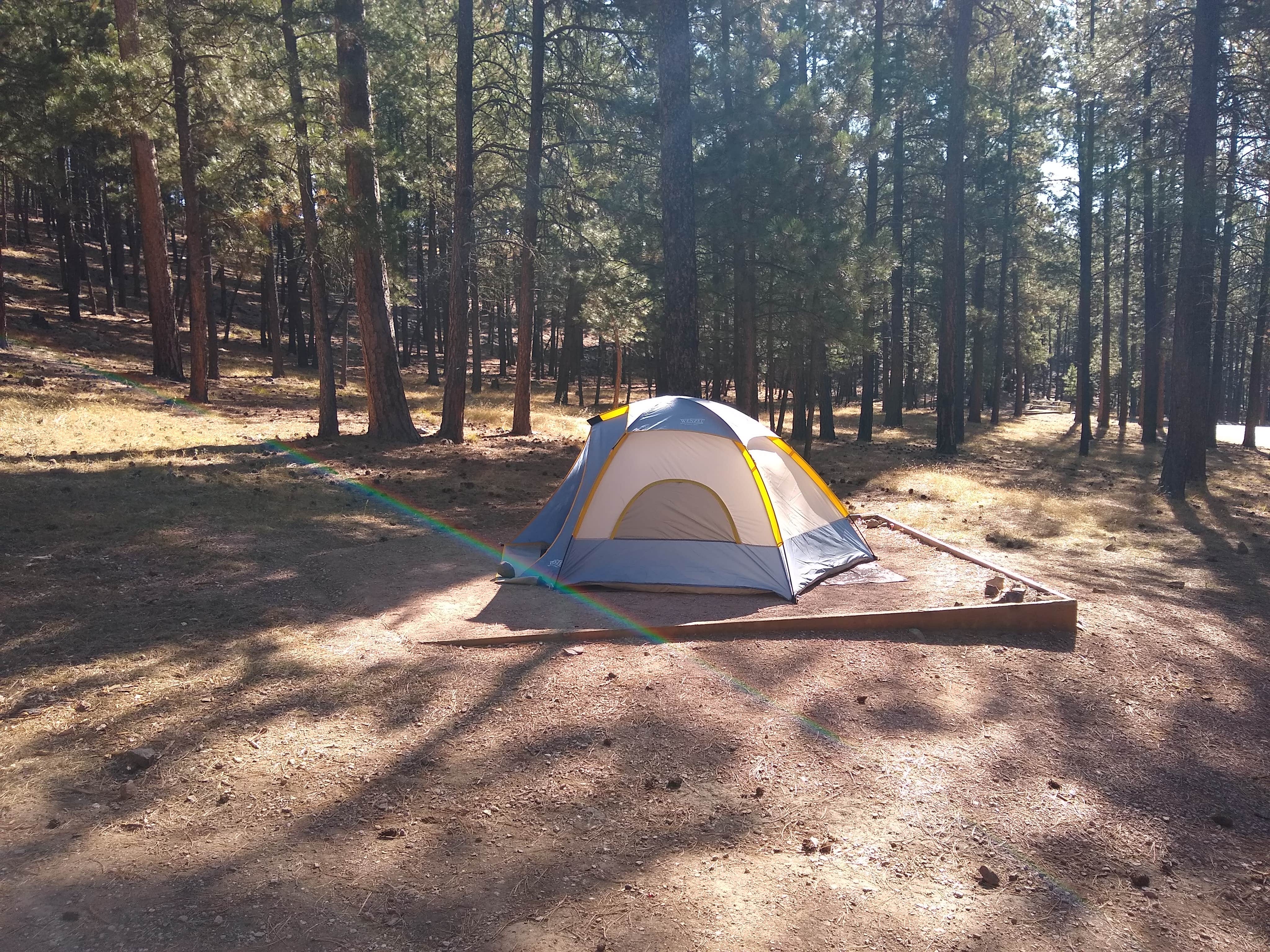 David M.'s photo at Center Lake Campground — Custer State Park near Hermosa, SD