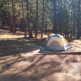 Review photo of Center Lake Campground — Custer State Park by David M., September 28, 2020