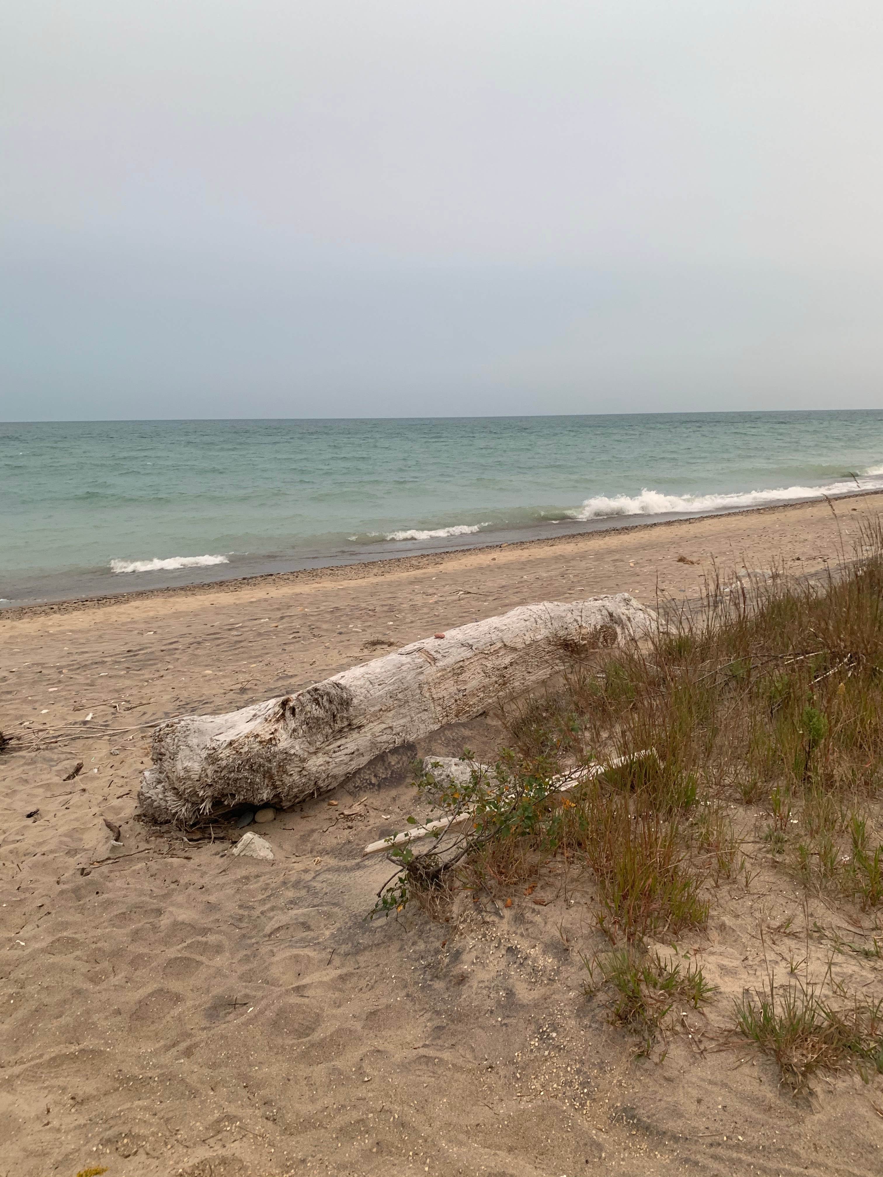 Escape to the Shores of Serenity: A Guide to Adeline Jay Geo-Karis Illinois Beach State Park