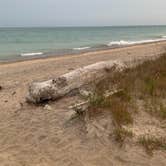 Review photo of Illinois Beach State Park by Chrissy E., September 28, 2020