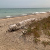 Review photo of Adeline Jay-Geo Karis Illinois Beach State Park by Chrissy E., September 28, 2020