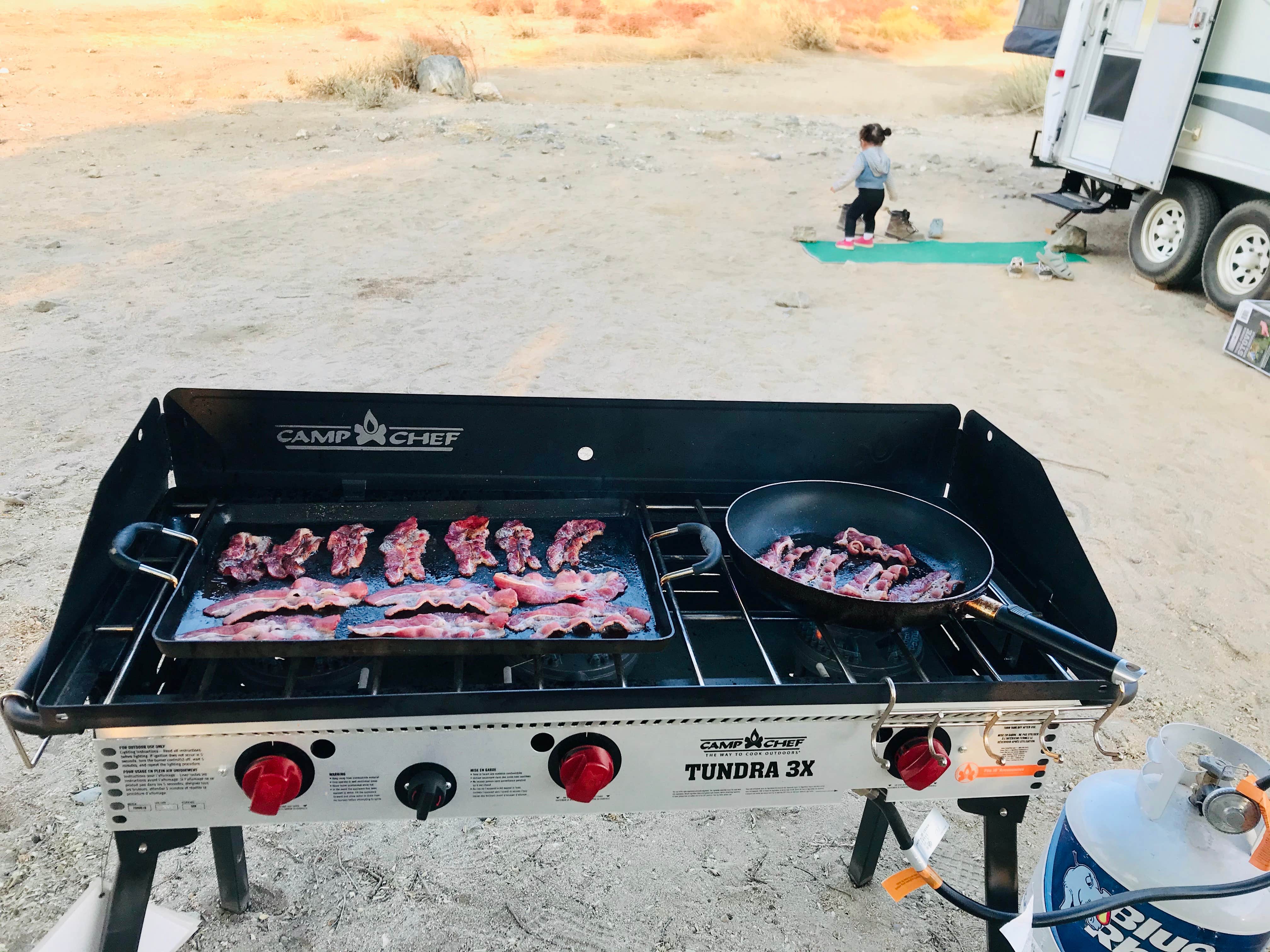 Camper submitted image from Hungry Valley State Vehicle Recreation Area - 3