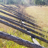 Review photo of Blakeley State Park Campground by Krissy M., September 28, 2020