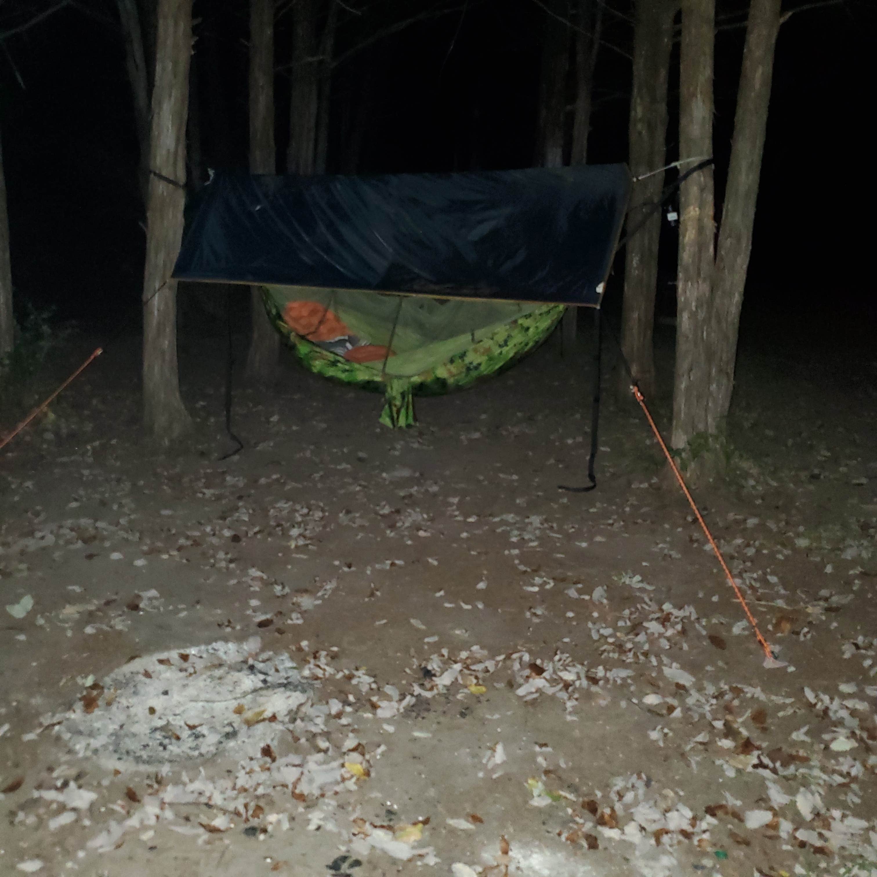 Camper submitted image from Cedar Point — Milford State Park - 3
