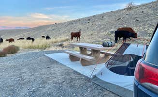 Nickolas A.'s photo at Mill Creek Recreation Area in Nevada