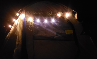 Krissy M.'s photo at Gulf State Park Campground in Alabama