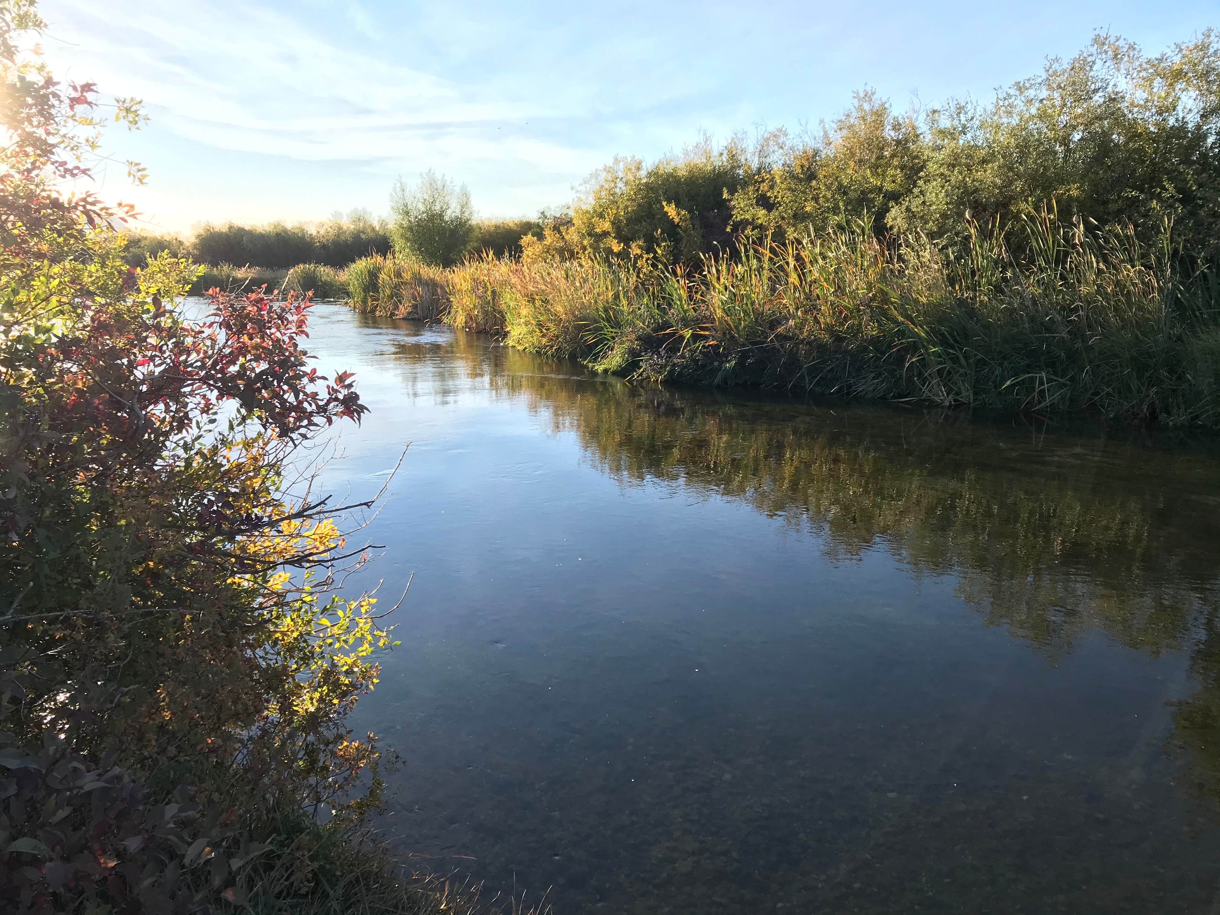 Camper submitted image from Picabo Angler Silver Creek RV Park - 3