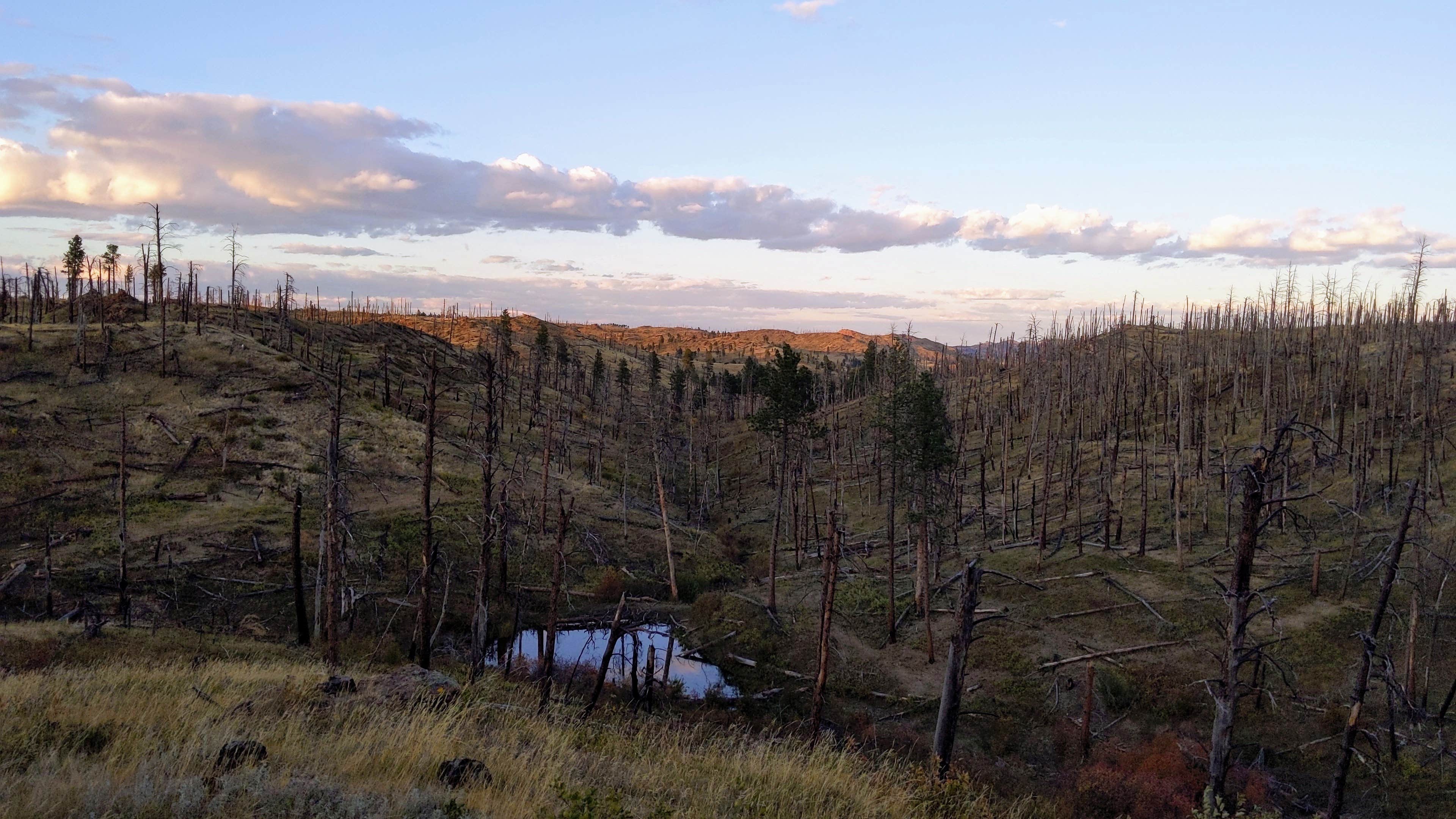 Camper-submitted photo at Holiday Spring Campground near Colstrip, MT