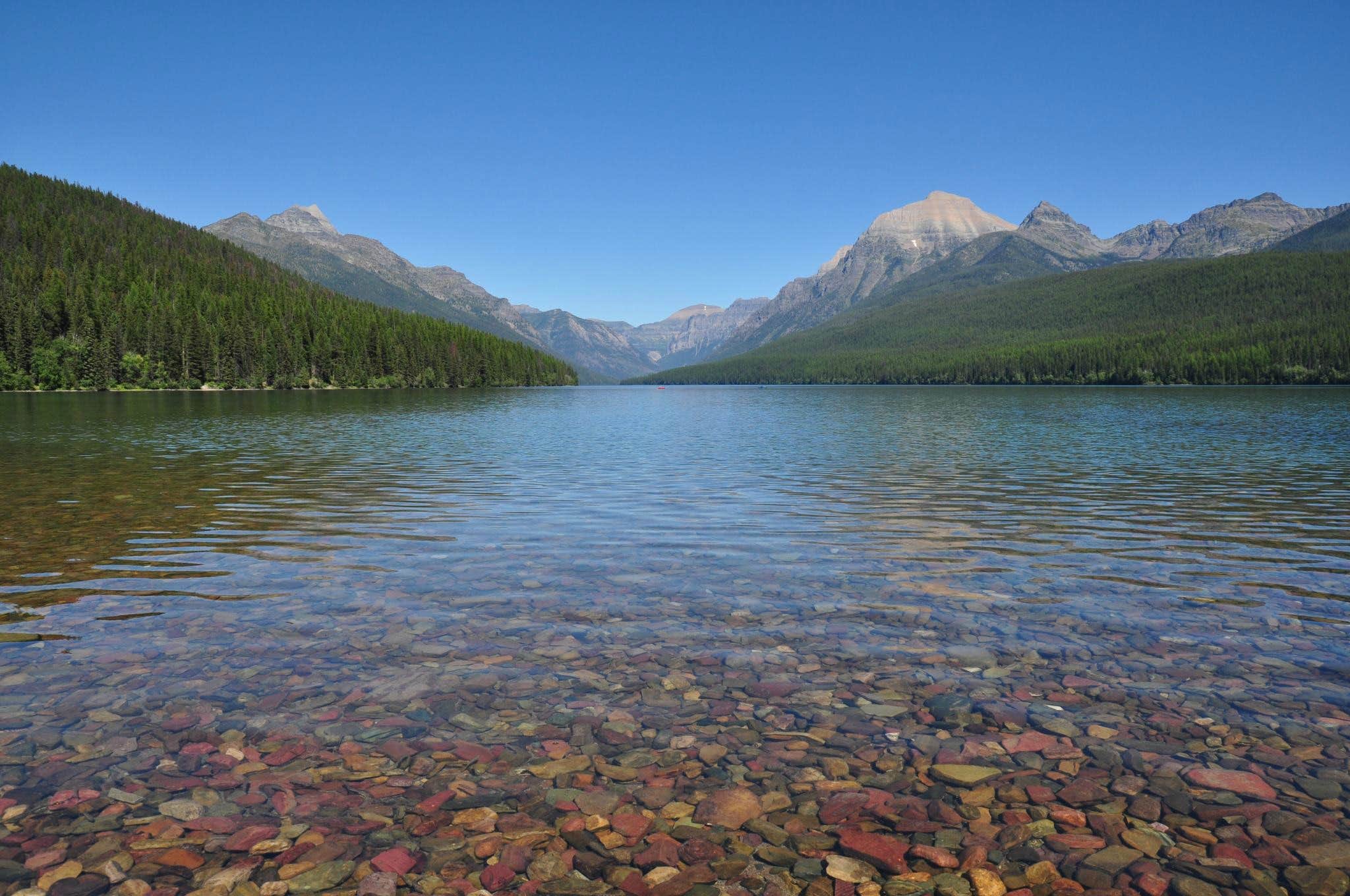 Camper submitted image from Bowman Lake State Park Campground - 4