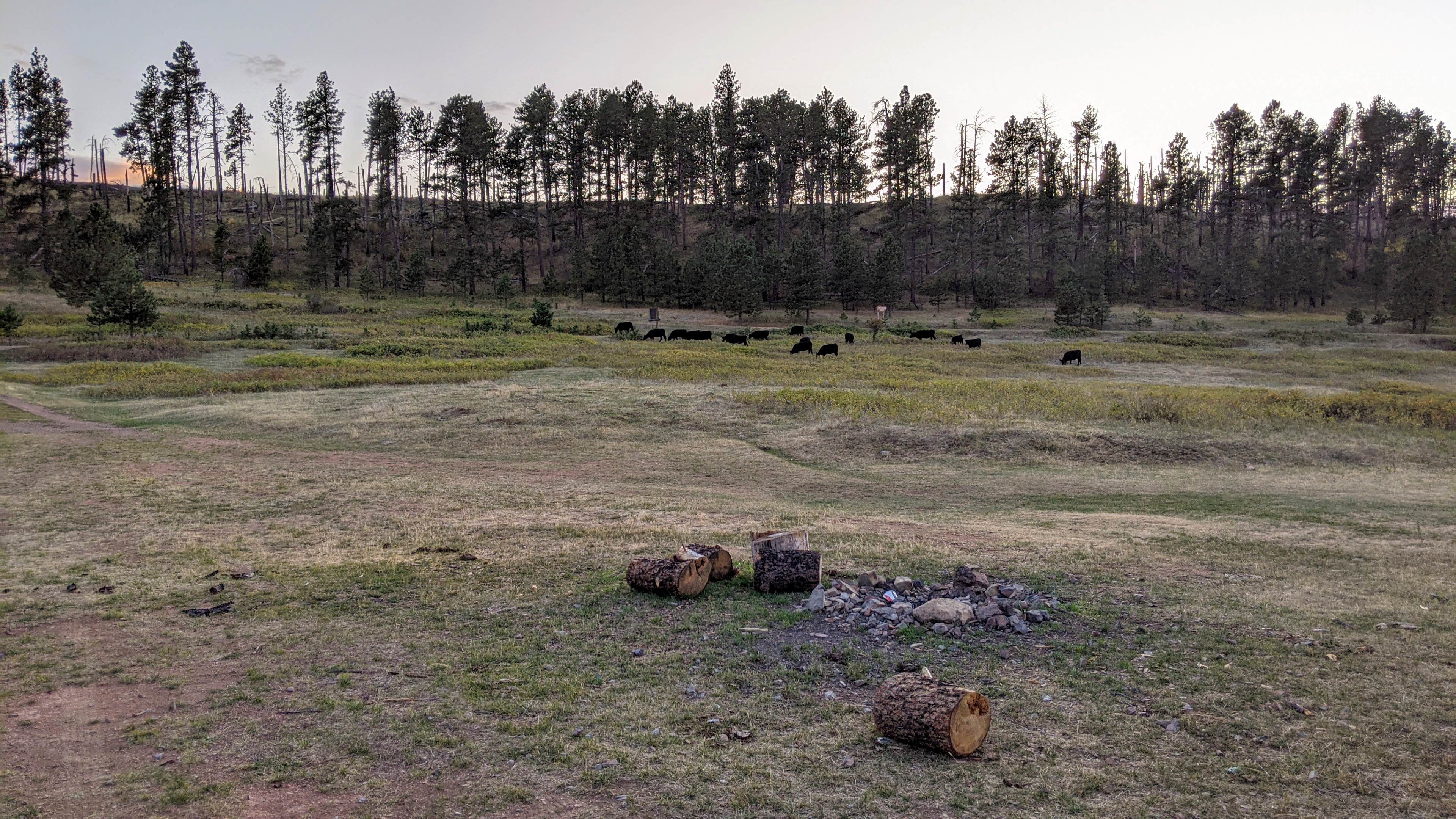 Camper-submitted photo at Holiday Spring Campground near Colstrip, MT