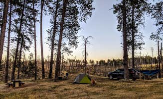 Quinn Z.'s photo at Holiday Spring Campground near Custer National Forest