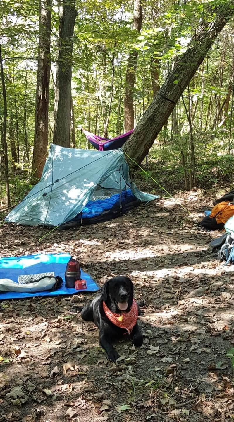 Karen K.'s photo of camping with pets at Dayton Metro Parks (Five Rivers Metroparks) near Belmont, OH