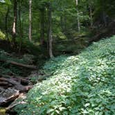 Review photo of Wilderness Road Campground by Matt H., May 18, 2018