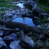 Review photo of Stanley Hot Springs - Backcountry Dispersed Campsite by Dexter I., September 28, 2020