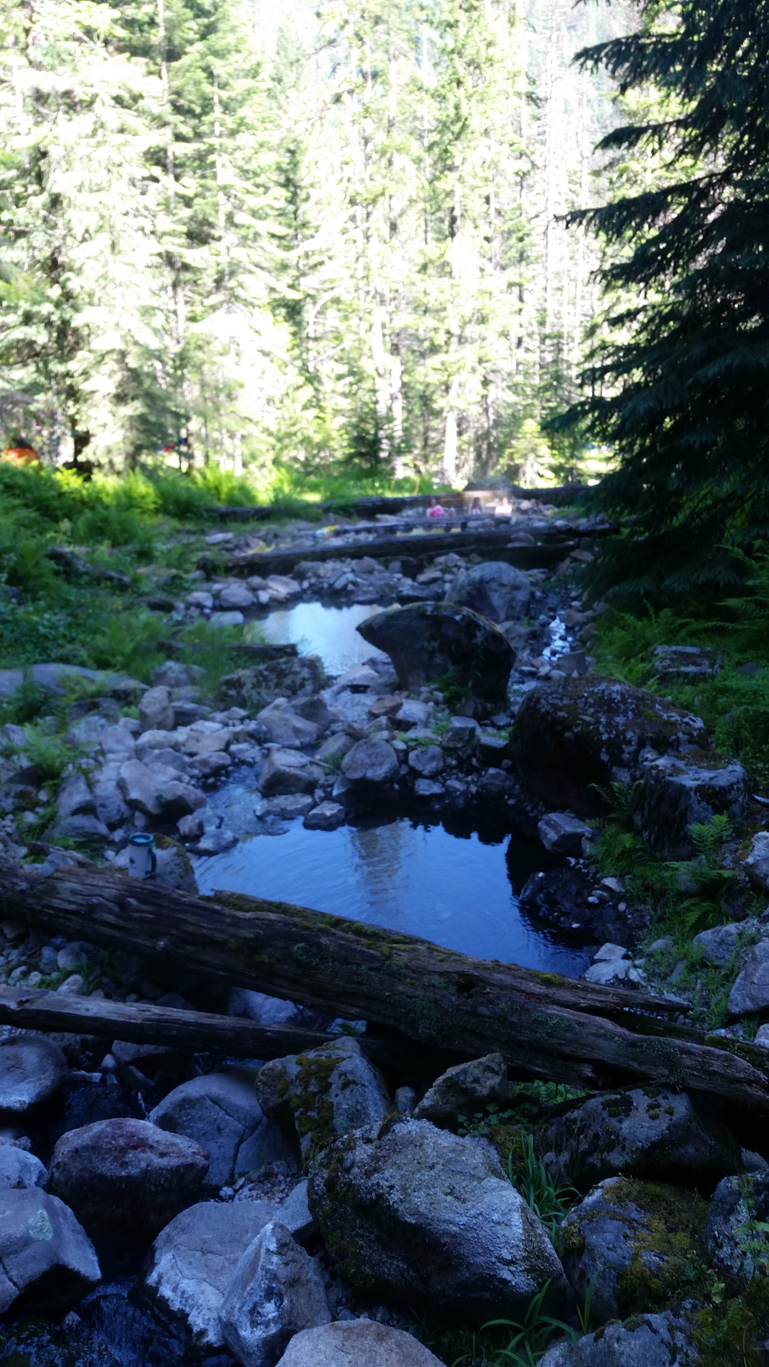 Camper submitted image from Stanley Hot Springs - Backcountry Dispersed Campsite - 2