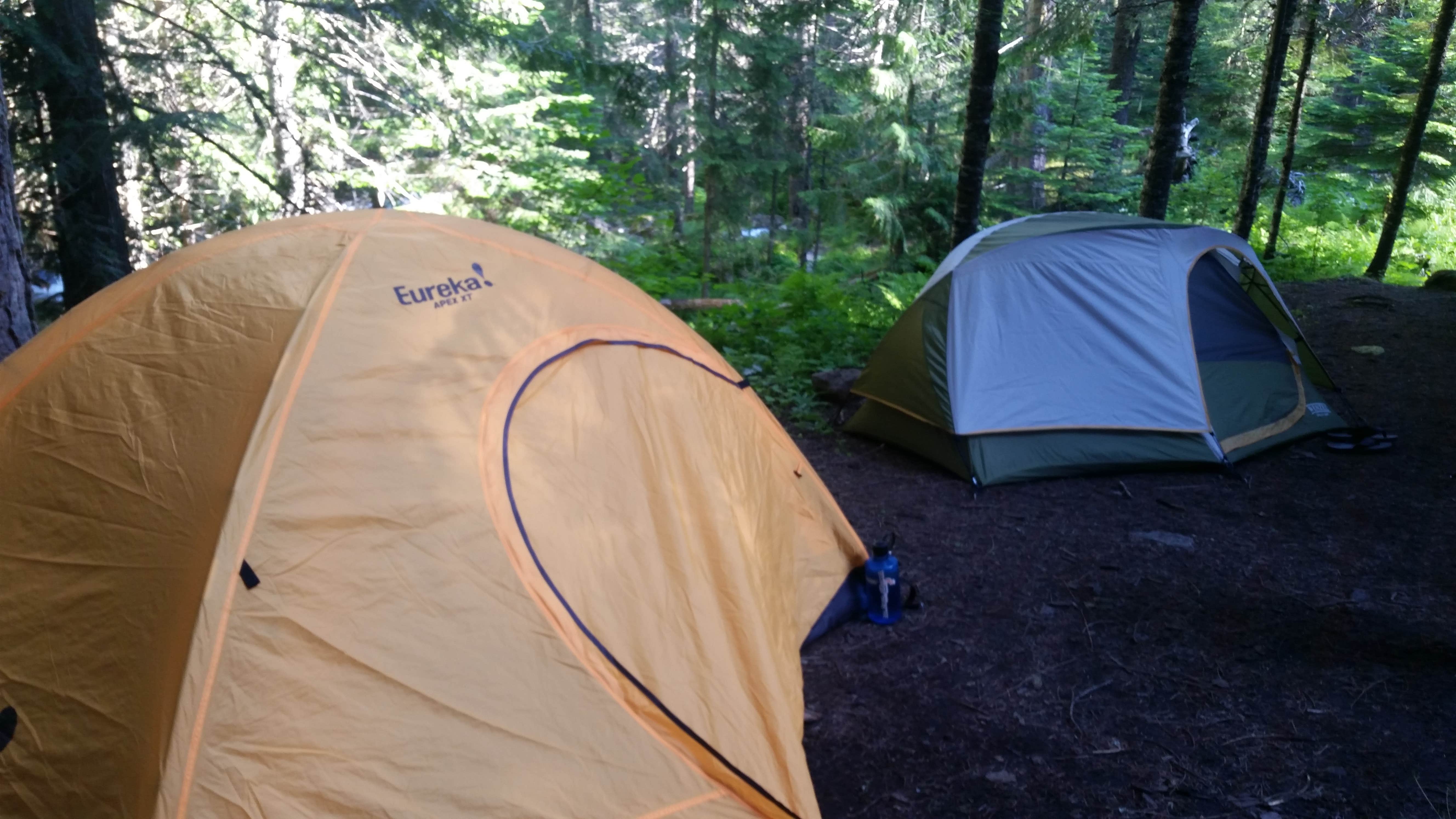 Dexter I.'s photo of a dispersed camping area at Stanley Hot Springs - Backcountry Dispersed Campsite near Bitterroot National Forest