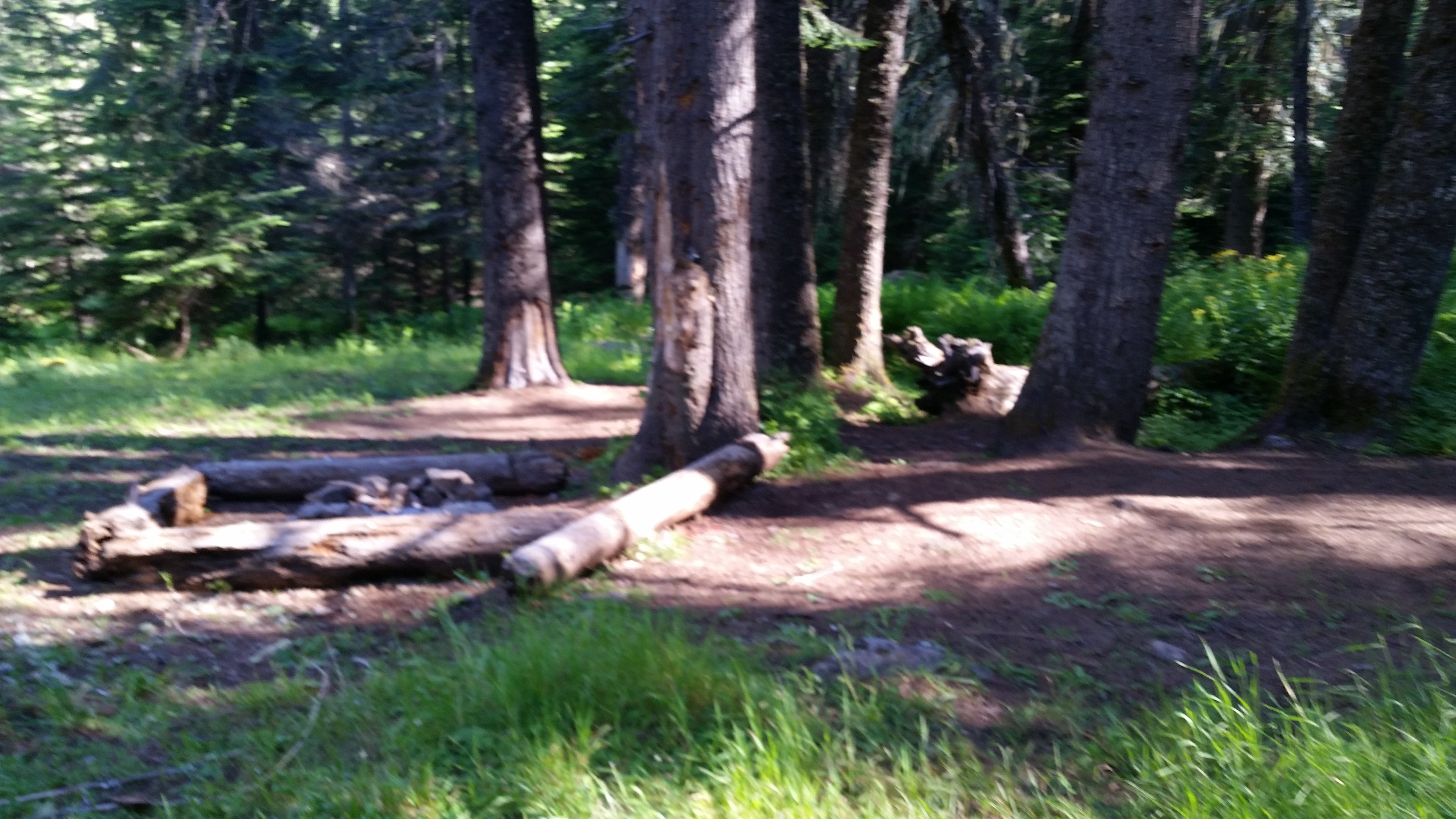 Camper submitted image from Stanley Hot Springs - Backcountry Dispersed Campsite - 1