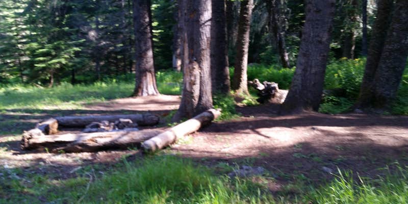 Camper submitted image from Stanley Hot Springs - Backcountry Dispersed Campsite