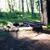 Review photo of Stanley Hot Springs - Backcountry Dispersed Campsite by Dexter I., September 28, 2020