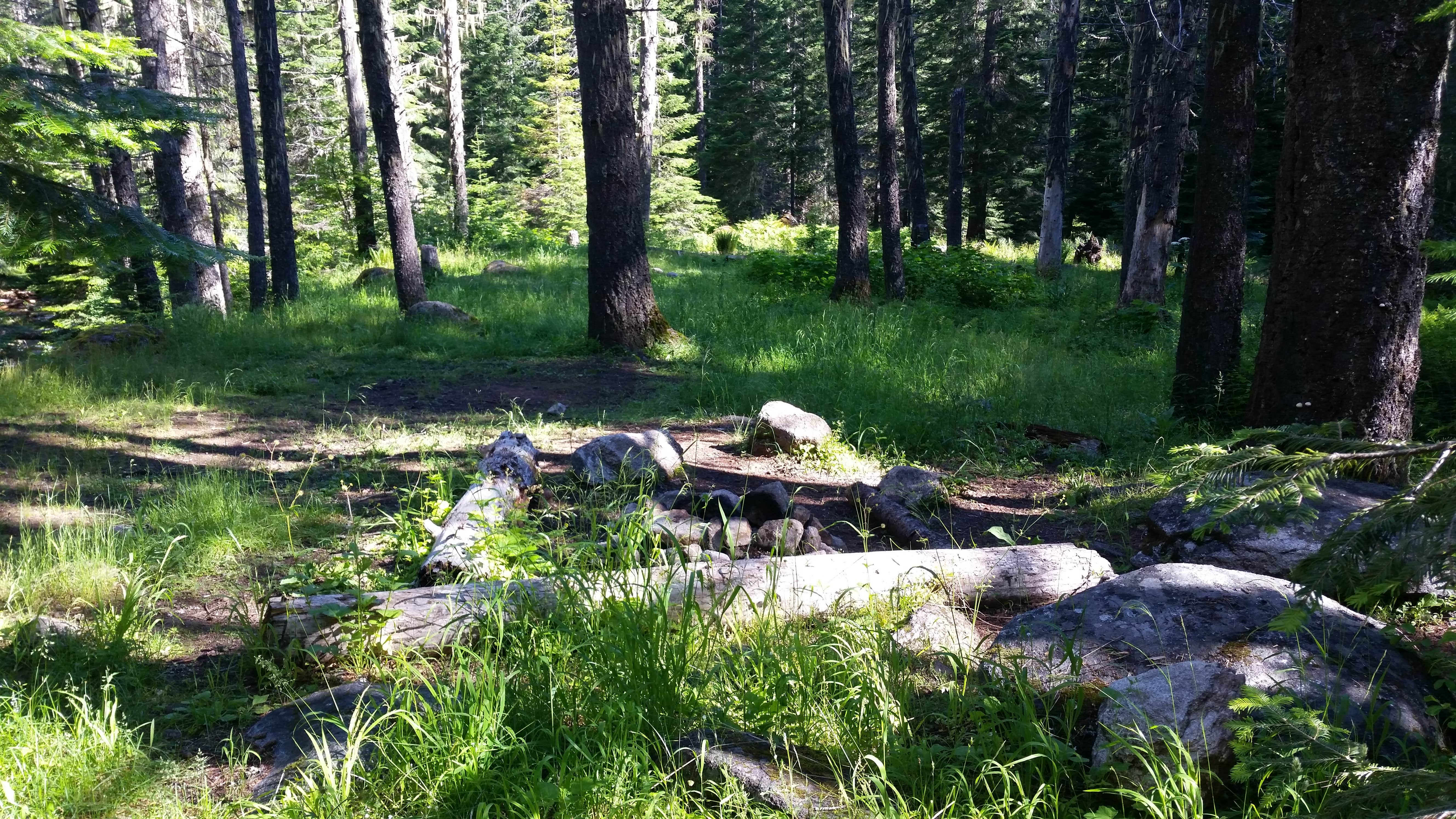 Camper-submitted photo at Stanley Hot Springs - Backcountry Dispersed Campsite near Bitterroot National Forest
