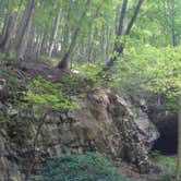 Review photo of Wilderness Road Campground by Matt H., May 18, 2018