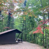 Review photo of Brighton State Park Campground by Tara S., September 28, 2020