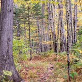 Review photo of Brighton State Park Campground by Tara S., September 28, 2020