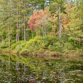 Review photo of Brighton State Park Campground by Tara S., September 28, 2020