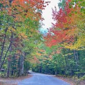 Review photo of Brighton State Park Campground by Tara S., September 28, 2020