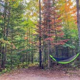 Review photo of Brighton State Park Campground by Tara S., September 28, 2020